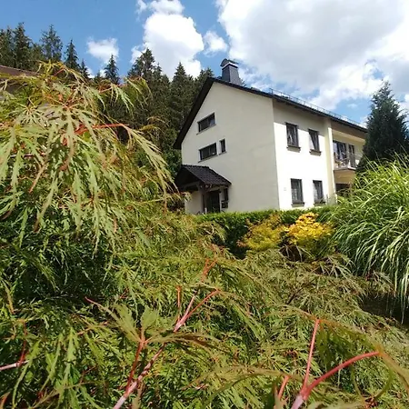 Ferienhaus Sarah Prázdninový dům Wallenfels